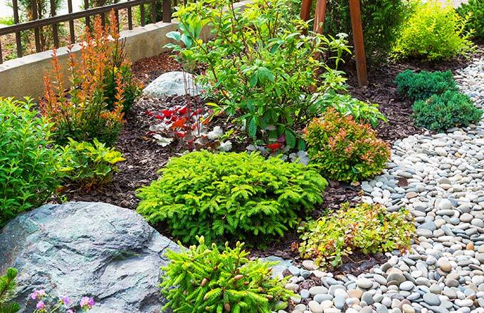 Garden with stone and mulch