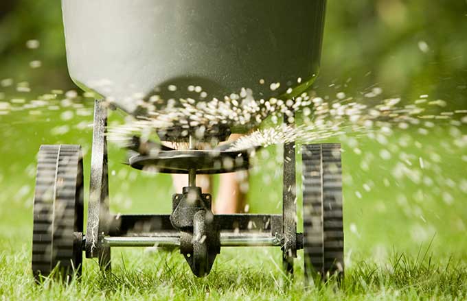 Landscaper fertilizing a lawn
