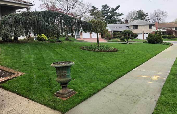 Freshly mowed lawn that is well cared for