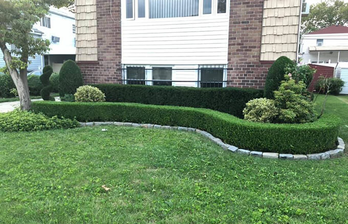 lawn pruning & trimming service