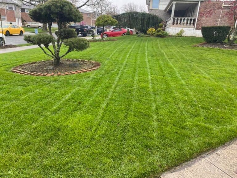 lawn care