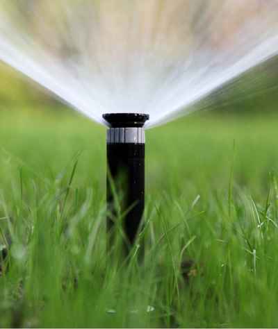 Refresh Your Lawn With Fresh Sod and Smarter Irrigation