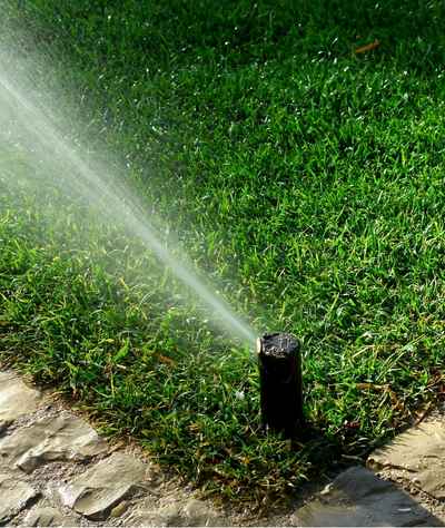 Refresh Your Yard With Fresh Sod and Smarter Irrigation