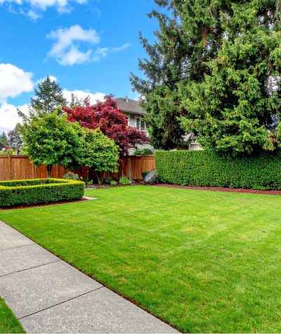 Year-Round Lawn & Landscape Care for Gravesend Properties